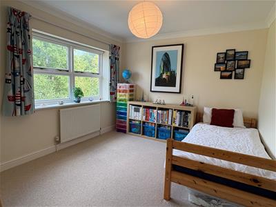 Picture 15